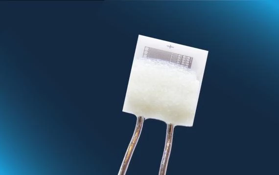 Standard Pt1000 (232) class F0.3, with optimized ESD design
