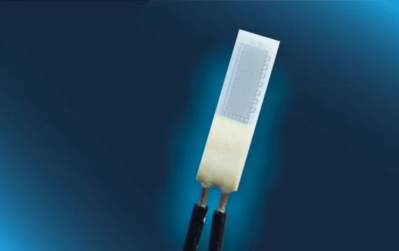 Pt100 class F0.3 with insulated wires